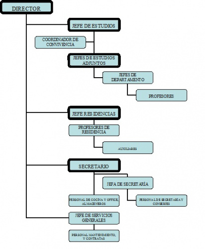 imagen principal Organigrama