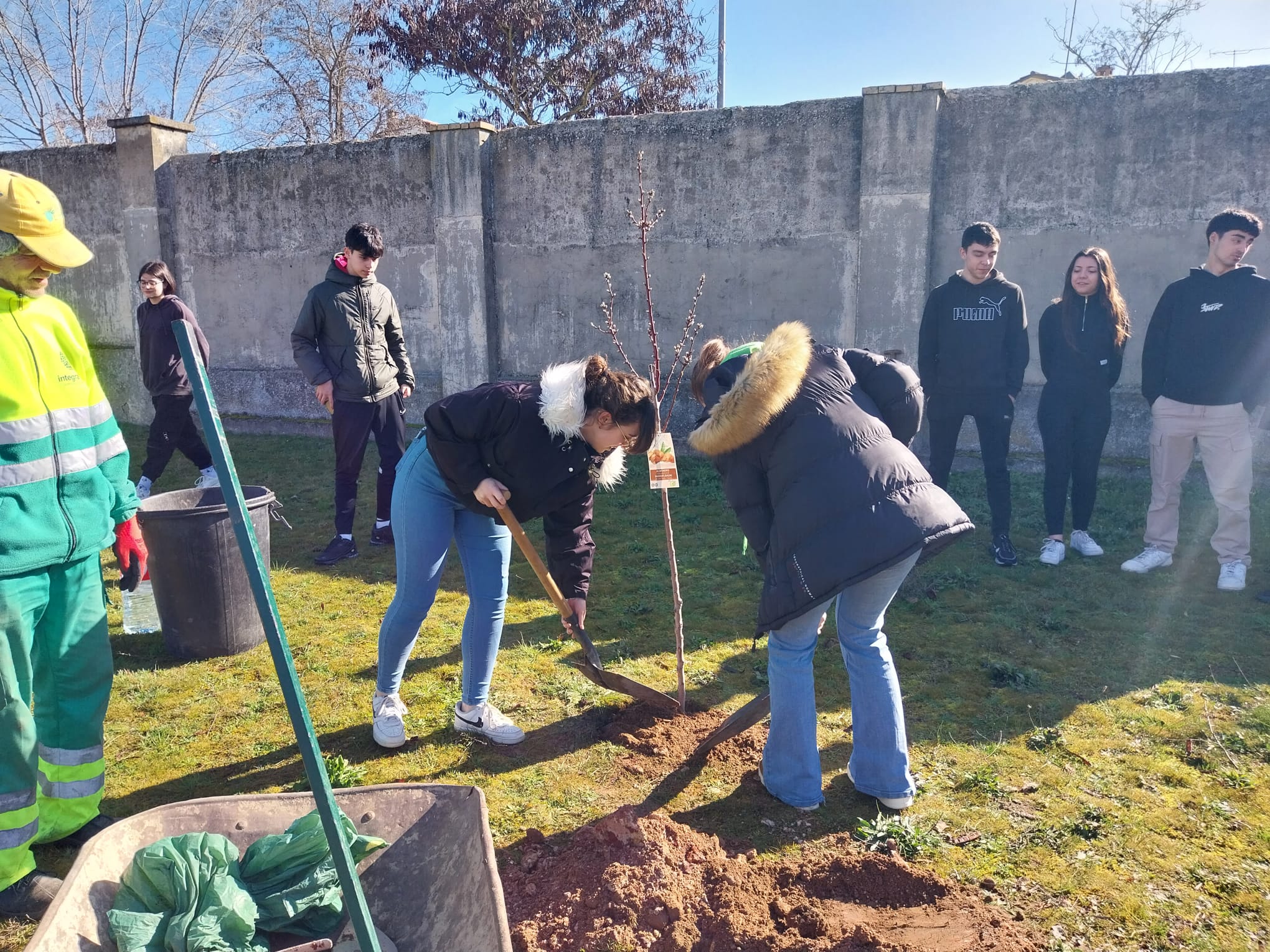 Ponemos al día el huerto escolar